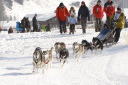 Lenk 2012 SM
